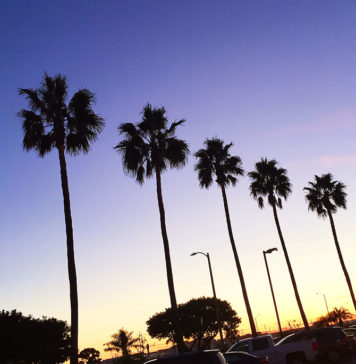 注目を集めるための話題作り!? アカデミー賞授賞式で俳優がプレゼンターを平手打ち!